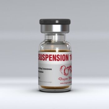 SUSPENSION 100.jpg