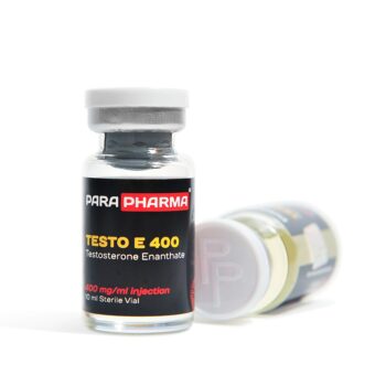 TESTO E 400.jpg