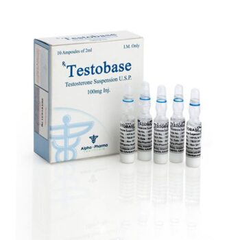 TESTOBASE.jpg