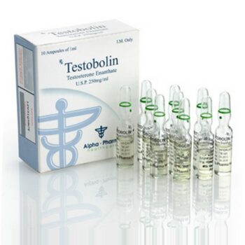 TESTOBOLIN AMP.jpg